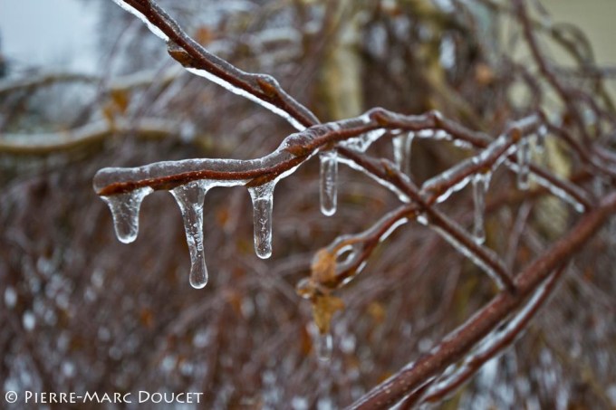 257134_10151177443786270_587683876_o