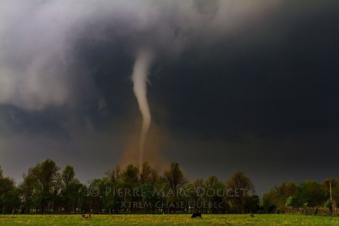 981601_10152136269911270_6064462372116936393_o