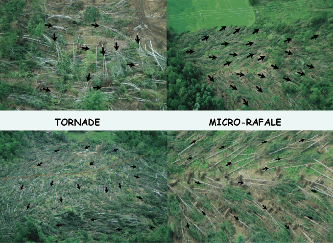 tornade-vs-micro-rafale