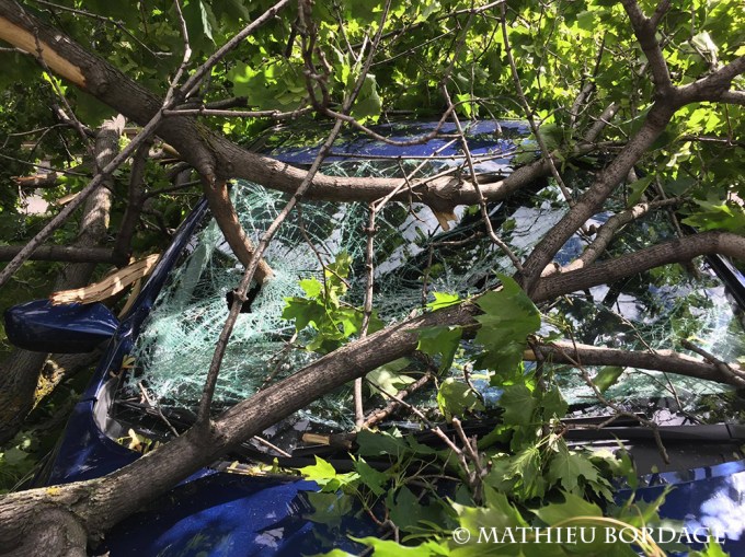 13493324_10154228328518926_1669391769_o