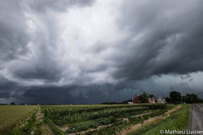 13700227_10154410169269365_4697683071423013740_n