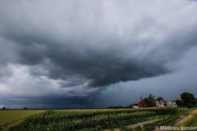 13769546_10154410169544365_2408252620299558364_n