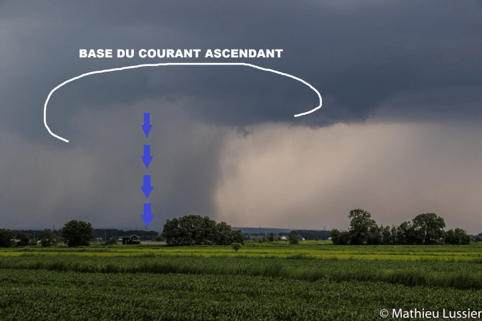 19237878_10155480962944365_3945483662879117394_o