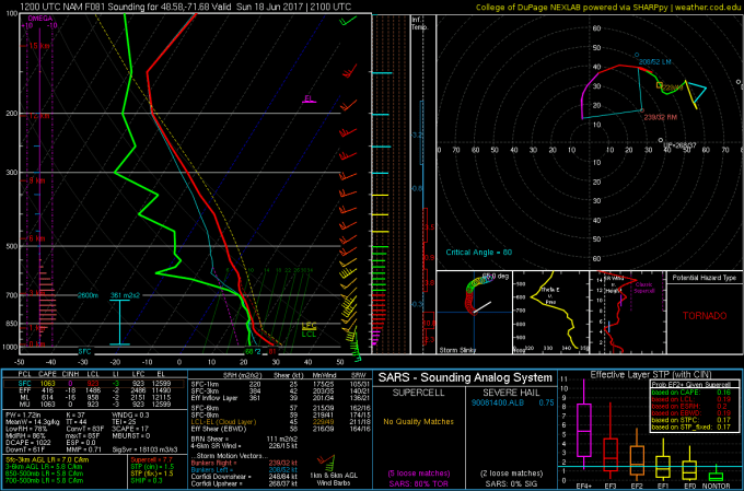 2017061512_NAM_081_48.58,-71.68_severe_sfc